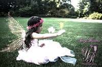 Fairy Gallery