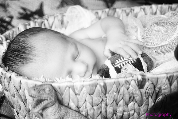 YRP_0871-Edit