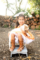Layla’s Unicorn and Love